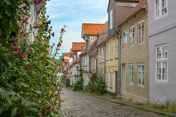 Narrow Cobblestone Alley Small Historic Residential Houses Planted Flowers Facades — Foto de Stock