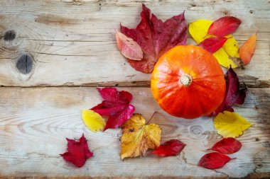 Kırmızı kuri kabağı ayrıca hokkaido kabağı olarak da bilinir ve rengarenk sonbahar yaprakları kırsal ahşap kalaslarda, Cadılar Bayramı ve Şükran Günü için sebze, kopya alanı, yukarıdan yüksek açı, seçilmiş odak noktası
