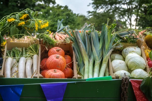 Vers Geoogste Biologische Groenten Zoals Radijs Pompoen Prei Kool Een — Stockfoto