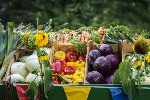 Φρέσκα Βιολογικά Λαχανικά Όπως Πιπεριά Και Διάφορα Λάχανα Μια Αγορά — Φωτογραφία Αρχείου