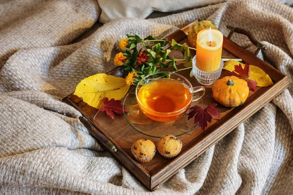 Copa Hojas Otoño Colores Decoración Una Vela Servida Una Bandeja — Foto de Stock