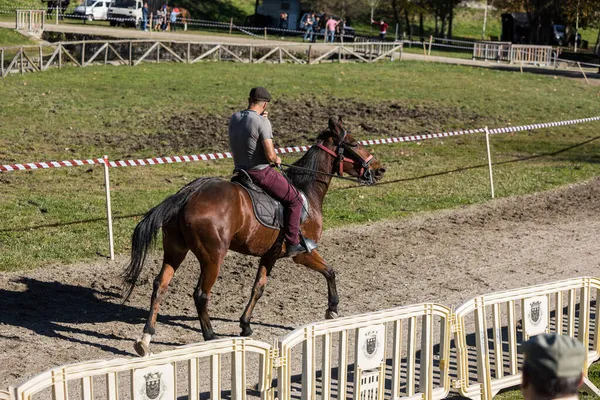 Vieira Minho Portugal Noviembre 2021 Carrera Caballos Amateur Parque Público — Foto de Stock