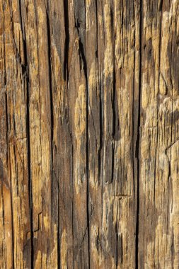 Eski ahşap yüzey, ahşap doku yakın plan