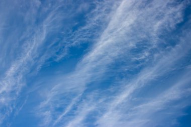 Rahatlama ve tasarım için mavi cennet doğal arkaplan