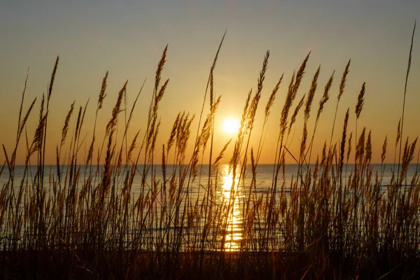 Coastal coastline, picturesque landscape for concept relaxation Stock Photo