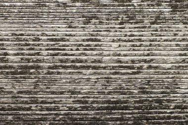 Eski bir kesme ağacının geleneksel halkalarının doğal deseni, tasarım için desenli arka plan