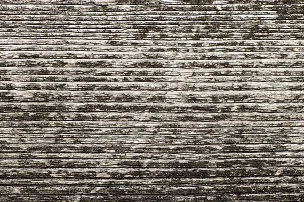 Естественный узор ежегодных колец старого срубленного дерева, текстурированный фон для дизайна — стоковое фото
