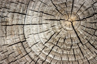 Klasik ahşap doku, sancak için soyut desenli doğal arkaplan