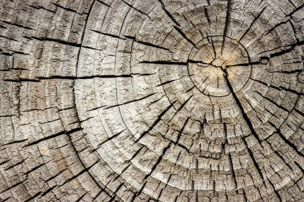 ヴィンテージ木質、抽象的なテクスチャ｜バナーのための自然な背景 — ストック写真