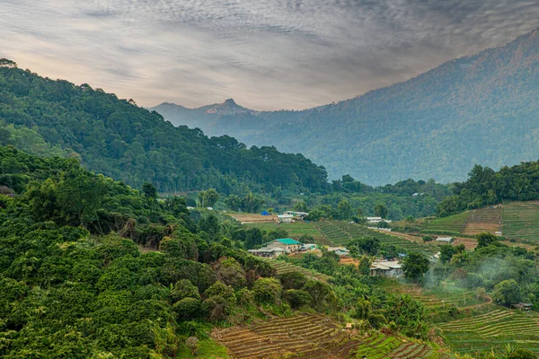 Montagnes Sous Brume Matin Thaïlande Chiang Mai — Photo