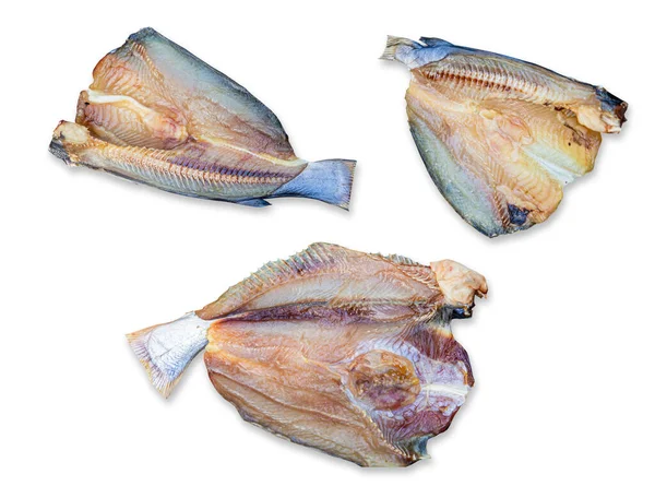 Suche Ryby Izolowane Białym Tle — Zdjęcie stockowe