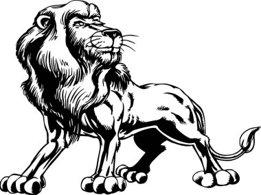 Aslan Siyah ve Beyaz Vektör İllüstrasyonu