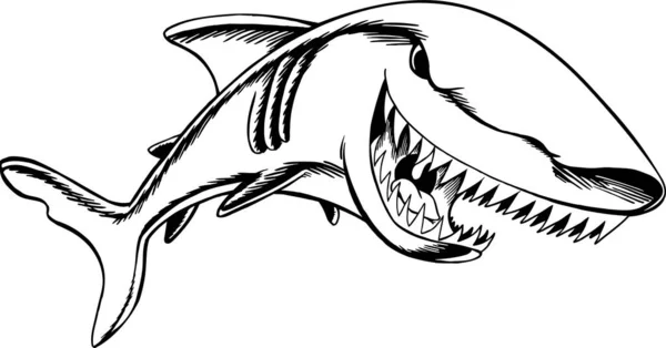 Shark Vector Cartoon Illustration — Stock Vector