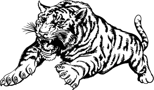 Tiger Attackiert Vektor Illustration — Stockvektor