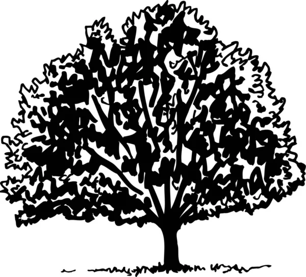 Ilustrasi Vektor Pohon Hitam Dan Putih - Stok Vektor