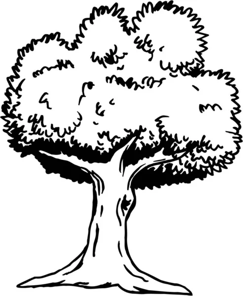 Ilustrasi Vektor Pohon Hitam Dan Putih - Stok Vektor