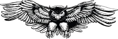 Baykuş Uçan Çizgi Film Vektör İllüstrasyonu