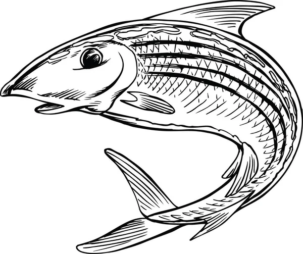 Bonefish Saltando Ilustración Vectorial Dibujos Animados — Archivo Imágenes Vectoriales
