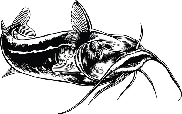 물고기 Vector Illustration — 스톡 벡터