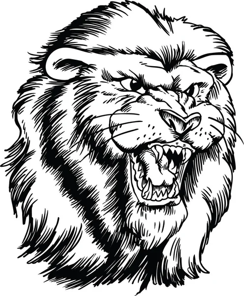 Lion Head Vector Illustration — Stock Vector