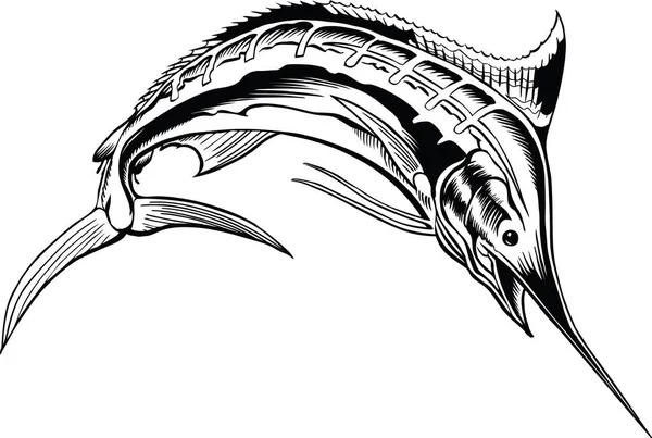 Marlin Jumping Vector Ilustração — Vetor de Stock