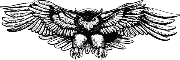 Baykuş Uçan Çizgi Film Vektör İllüstrasyonu