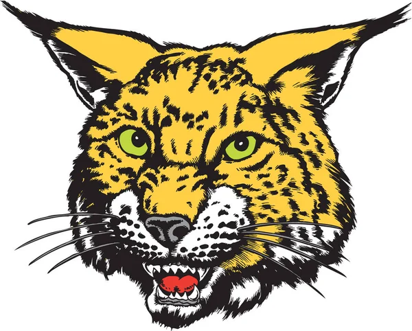 Bobcat Mascot Επικεφαλής Διανυσματική Απεικόνιση — Διανυσματικό Αρχείο