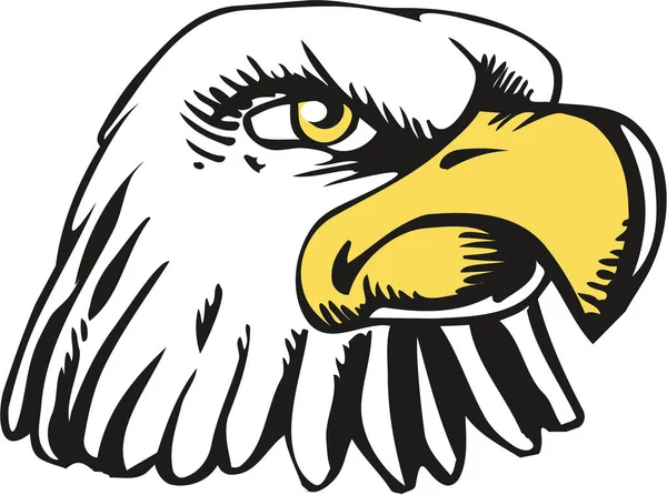 Eagle Mascot Head Vector Illustration — Stock Vector