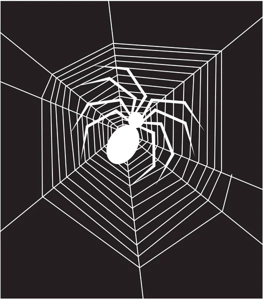 Εικονογράφηση Διανυσμάτων Spider Και Webs — Διανυσματικό Αρχείο