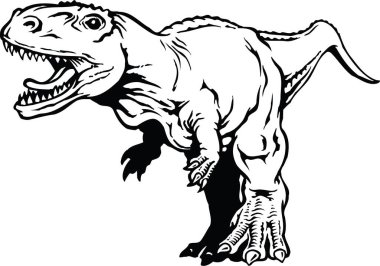 Tyrannosaurus rex vektör çizimi