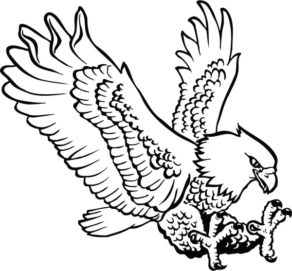 Ilustración Del Vector Aterrizaje Del Águila — Archivo Imágenes Vectoriales