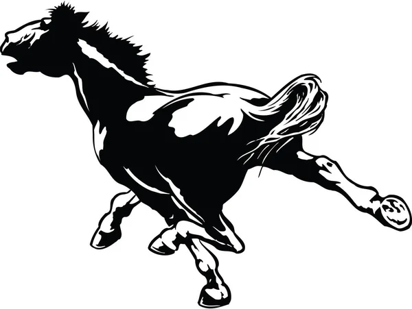 Векторная Иллюстрация Скачущих Лошадей — стоковый вектор