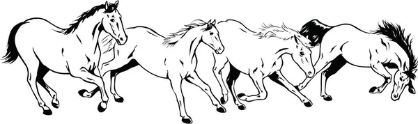 Koşan Atlar Vektör Llüstrasyonu — Stok Vektör