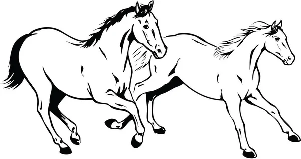 Illustrazione Del Vettore Corsa Dei Cavalli — Vettoriale Stock