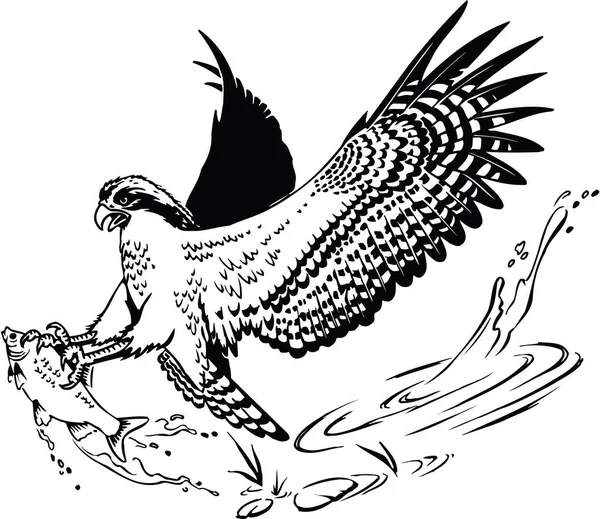 Osprey Con Ilustración Vectorial Peces — Vector de stock