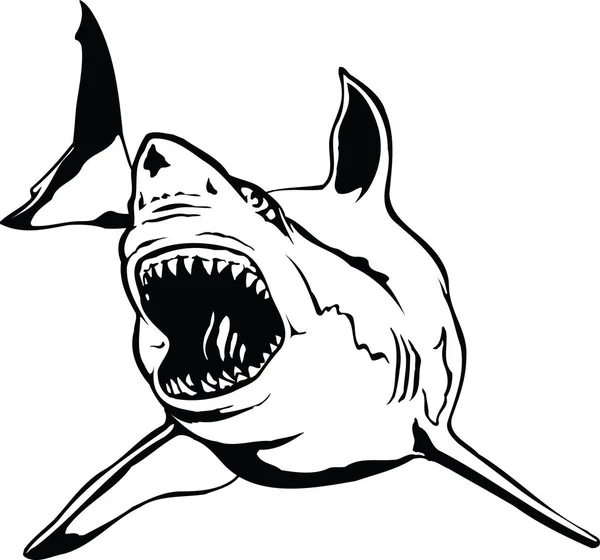 Büyük Beyaz Köpekbalığı Vektör Çizim — Stok Vektör