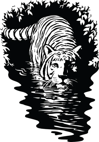 Illustration Vectorielle Tigre Dans Eau — Image vectorielle