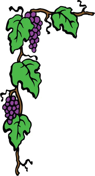 Grape Border Corner Vector Illustration — стоковий вектор