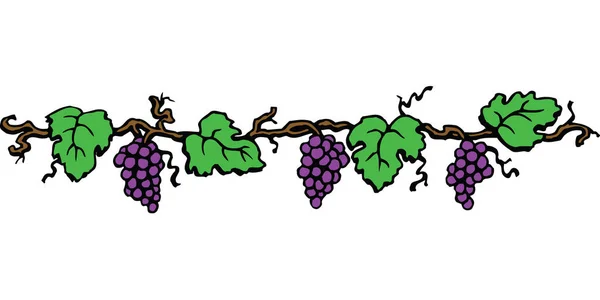 Grape Border Vector Illustration — Stockvektor