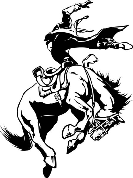 Вектор Бронко