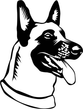 Belçika Malinois Vektör İllüstrasyonu