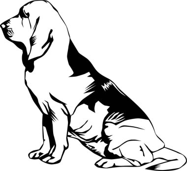 Kan Tazısı Oturan Vektör İllüstrasyonu