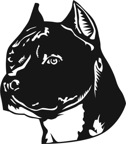 American Staffordshire Terrier Vector Ilustración — Vector de stock