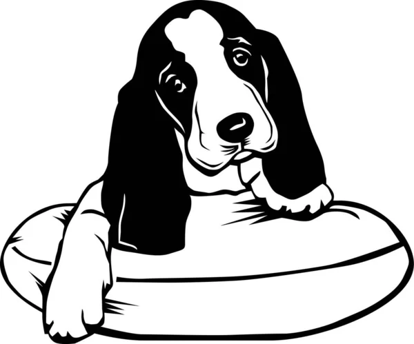 Basset Hound Puppy Çizimi — Stok Vektör