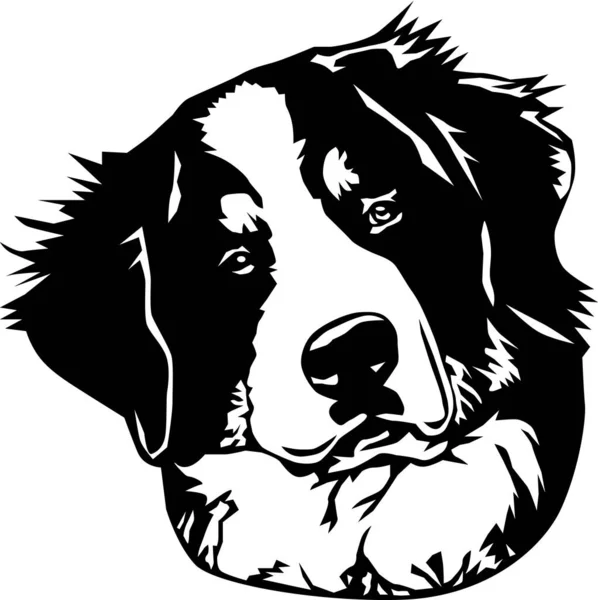 Illustrazione Vettoriale Del Cane Montagna Bernese — Vettoriale Stock