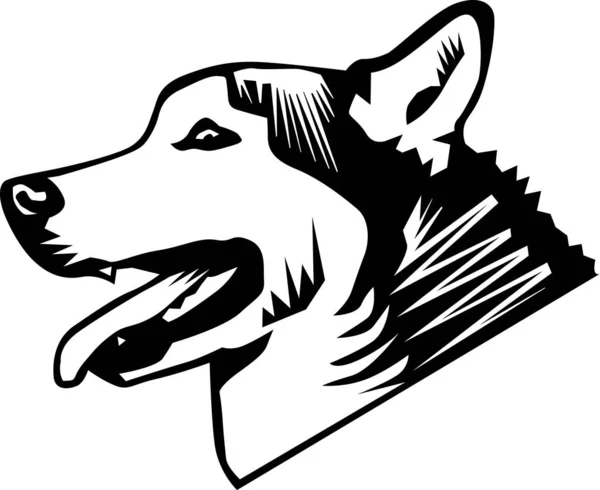 Husky Head Vector Ilustração — Vetor de Stock