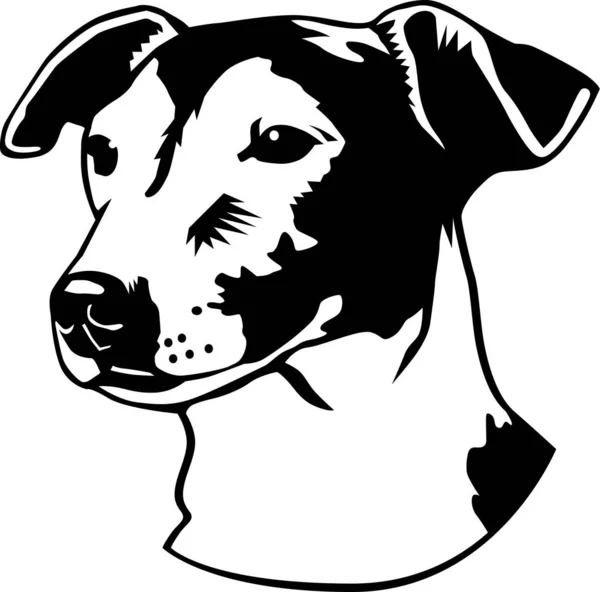 Jack Russell Terrier Head Vector Ilustração —  Vetores de Stock