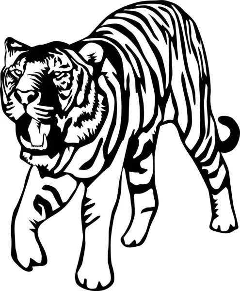 Τίγρης Περπάτημα Διανυσματική Απεικόνιση — Διανυσματικό Αρχείο