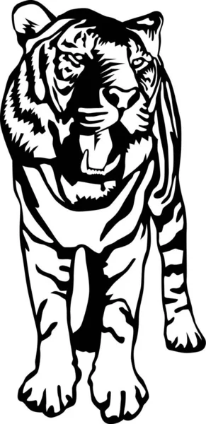 Tiger Standing Vector Ilustração — Vetor de Stock