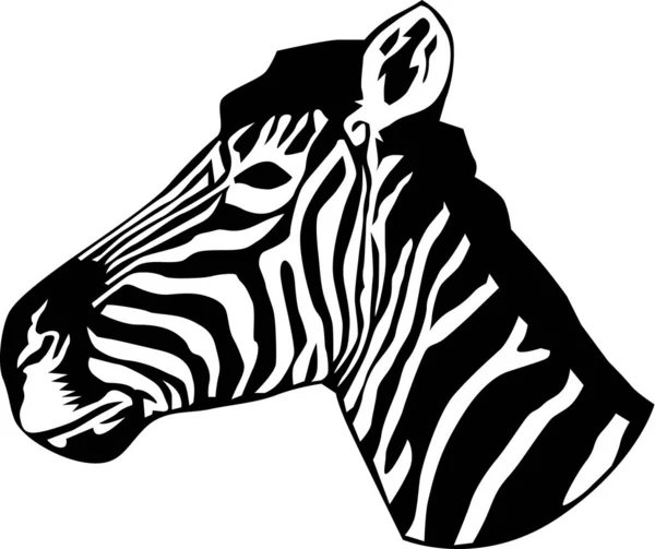 Zebra Huvud Vektor Illustration — Stock vektor